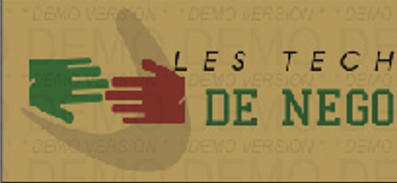 LES TECHNIQUES DE VENTE ET DE NEGOCIATION